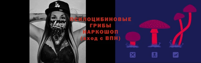 амф Абдулино