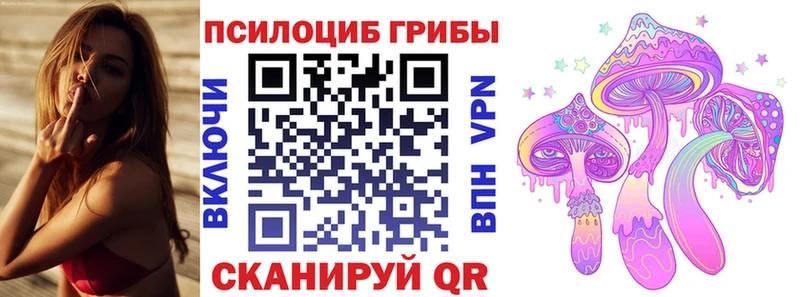 Галлюциногенные грибы Cubensis цена МЕГА ССЫЛКА Комсомольск-на-Амуре